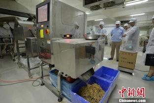 探访“中国食用菌之都” 福建古田的产业密码——机械与原辅材料的现代化之路